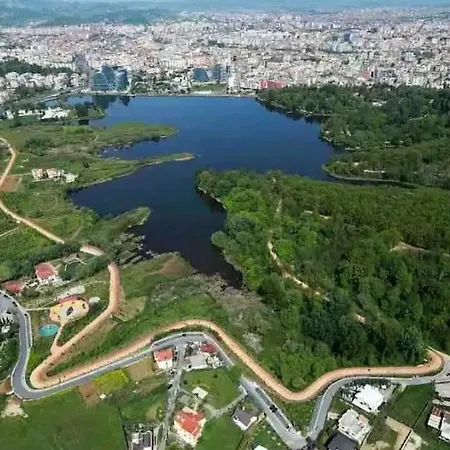 In Tirana