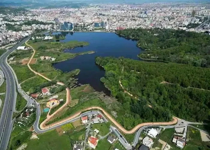 In Tirana